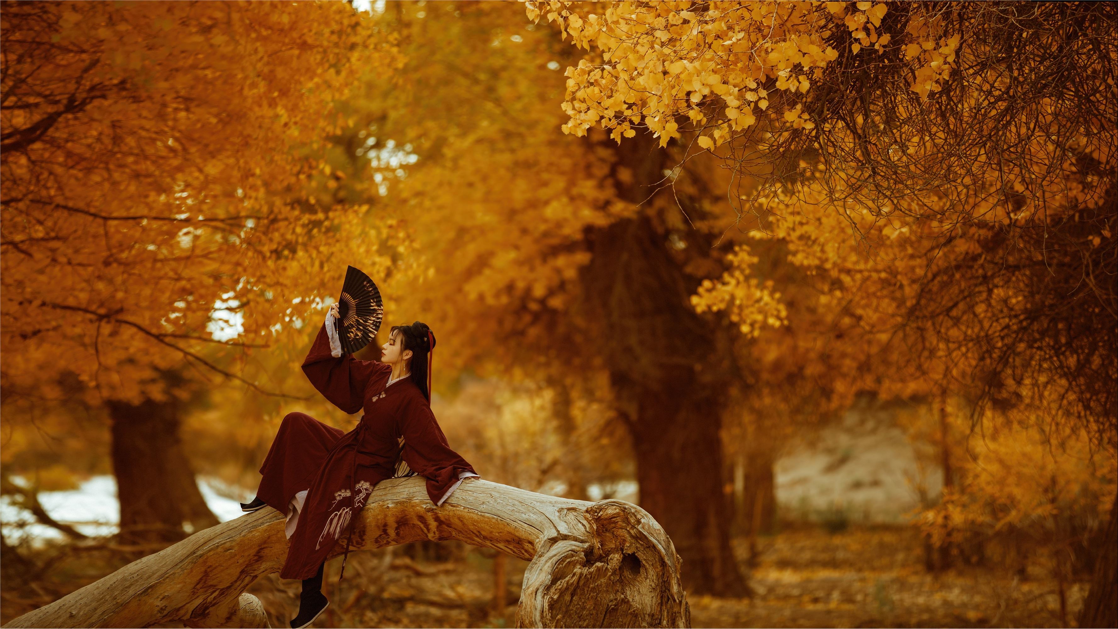 YITUYU艺图语 2021.08.12 花木兰 薄菏